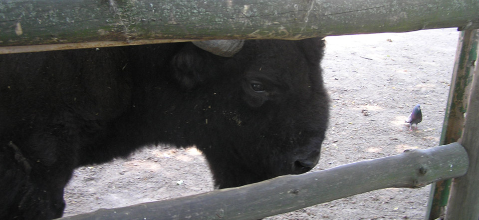 让生活更简单的ddos在线攻击工具